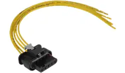 Sensor/Sonde